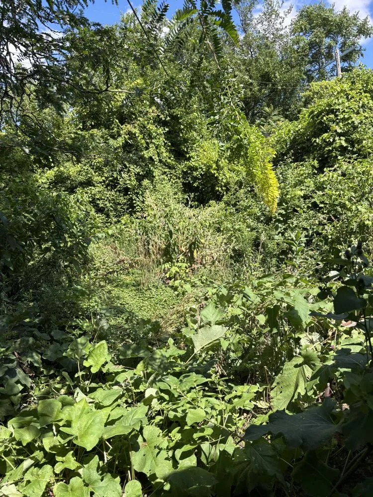 Trusted residential landscaping in Detroit, MI - Julian Lawncare And Maintenance