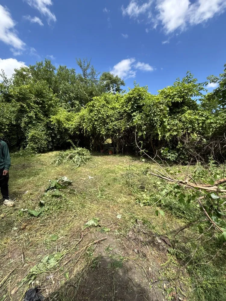 Affordable yard maintenance experts serving Detroit, MI - Julian Lawncare And Maintenance