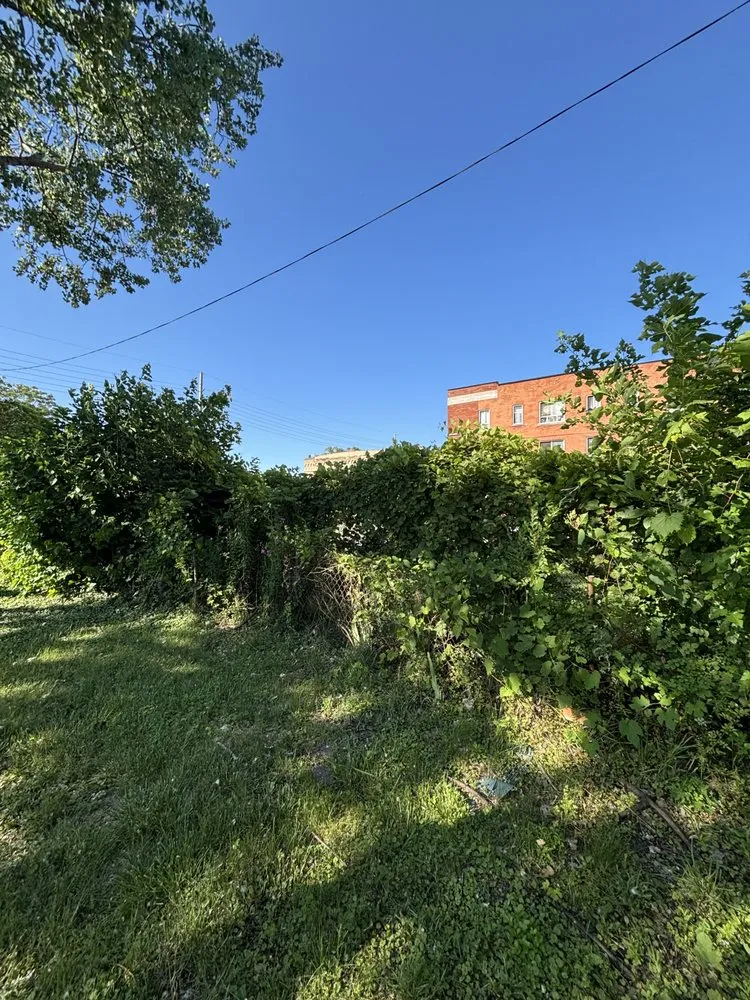 Top-rated residential landscaping for beautiful yards across Detroit, MI - Julian Lawncare And Maintenance