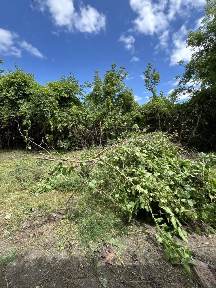 Custom outdoor landscaping for beautiful yards across Detroit, MI - Julian Lawncare And Maintenance