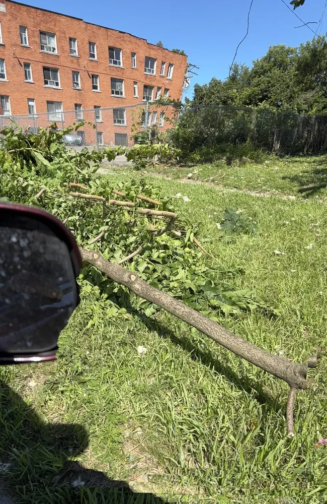 Local landscape design for outdoor upgrades across Detroit, MI - Julian Lawncare And Maintenance