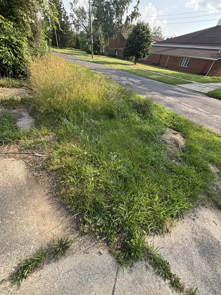 Local yard cleanup service in Detroit, MI - Julian Lawncare And Maintenance