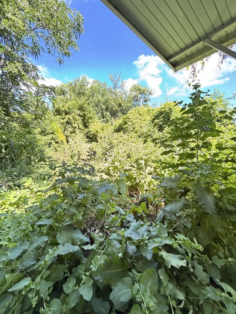 Affordable landscape installation with custom design in Detroit, MI by Julian Lawncare And Maintenance