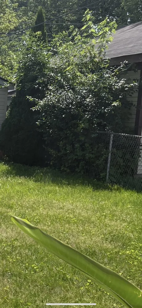 Top-rated lawn care service for beautiful yards in Detroit, MI by Julian Lawncare And Maintenance