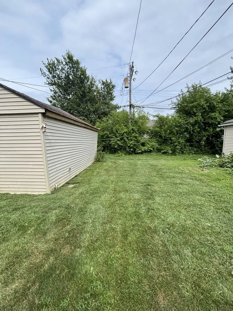 Custom landscape installation in Detroit, MI by Julian Lawncare And Maintenance