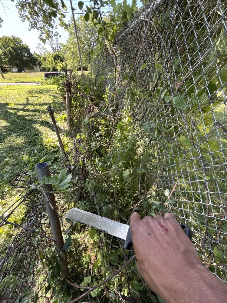 Top-rated landscape installation for beautiful yards across Detroit, MI - Julian Lawncare And Maintenance