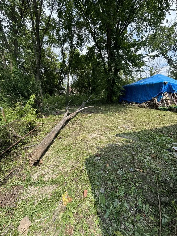 Professional lawn care service for residential properties in Detroit, MI by Julian Lawncare And Maintenance