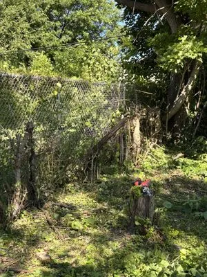 Julian Lawncare And Maintenance Logo