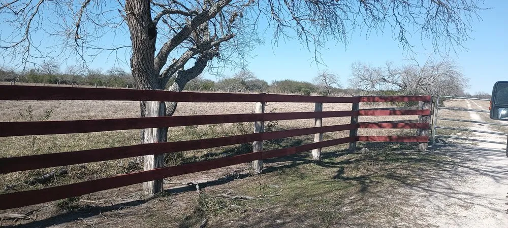 Custom yard cleanup service with custom design in Corpus Christi, TX by Julian Lawns Service