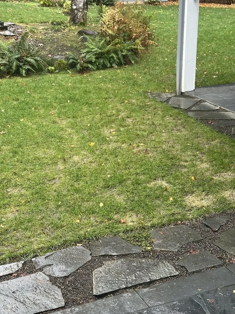 Local outdoor landscaping for outdoor upgrades across Woodburn, OR - Julian's Construction & Landscape