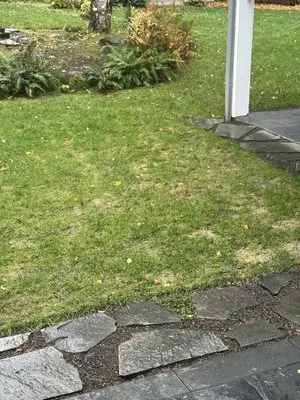 Julian's Construction & Landscape Logo