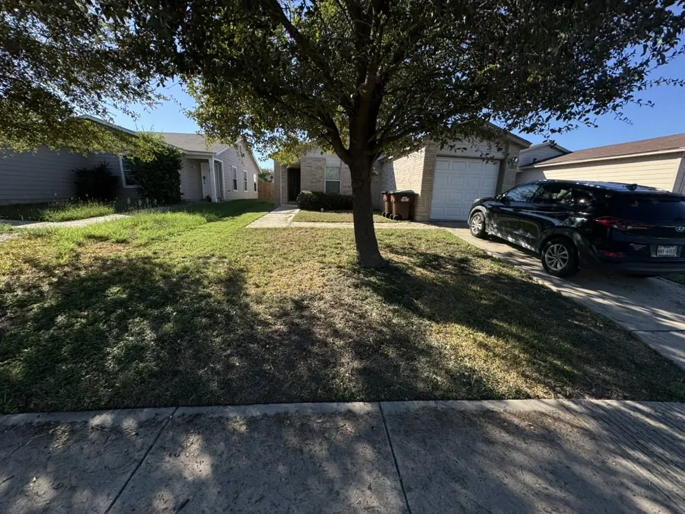 Expert landscape design for beautiful yards across San Antonio, TX - Julians Details