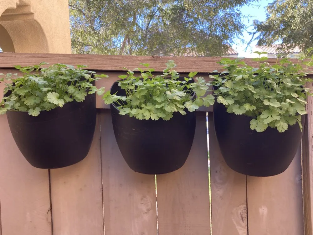 Expert residential landscaping in Chula Vista, CA - Julian's Gardening Services