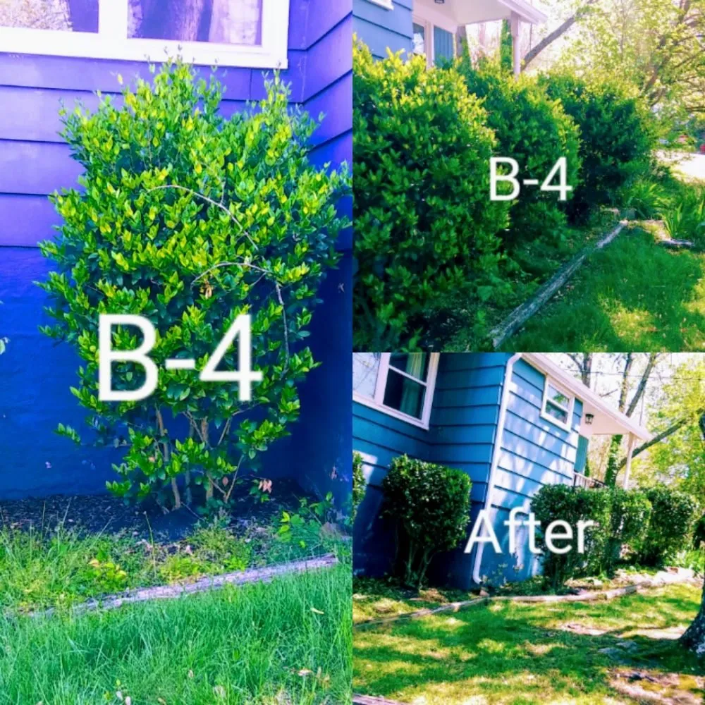 Expert landscape design for outdoor upgrades across Charlottesville, VA - Julian's Landscape and Property Maintenance