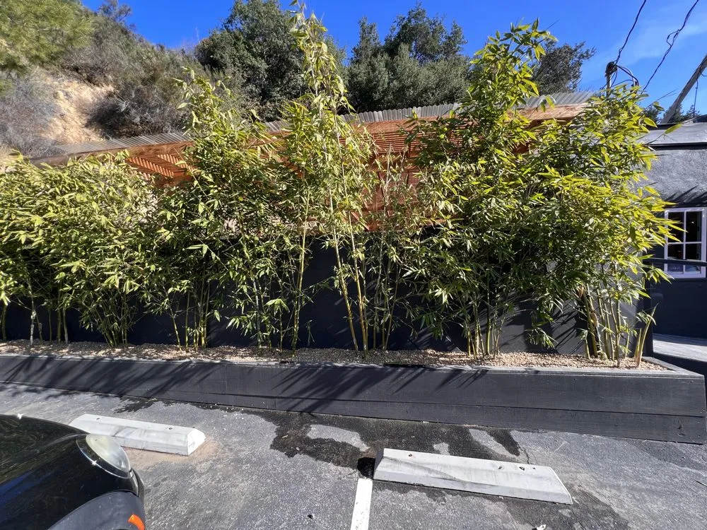 Expert yard cleanup service in Oxnard, CA - Julian's landscaping