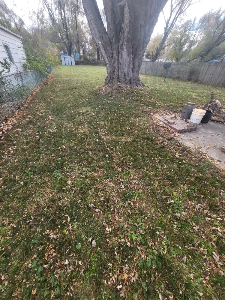 Reliable lawn care service in Des Moines, IA - Julians Lawn Care Services