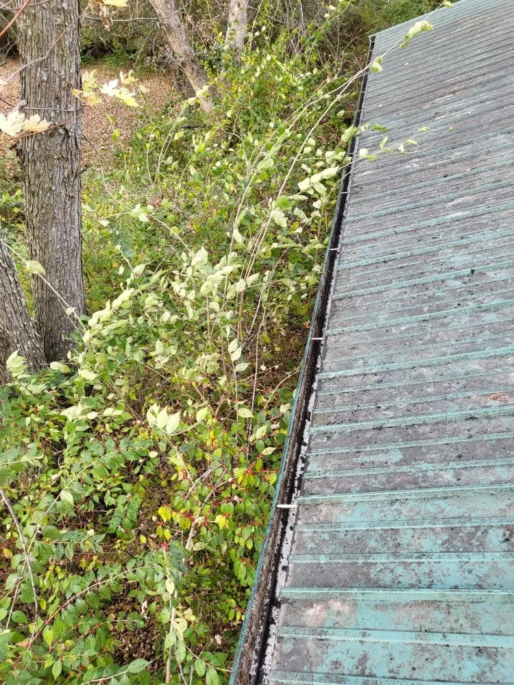 Local yard maintenance in Des Moines, IA - Julians Lawn Care Services