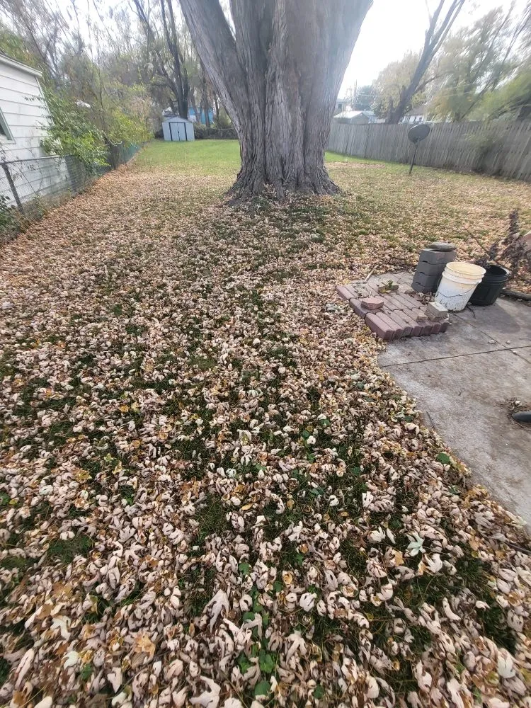 Top-rated landscape installation in Des Moines, IA - Julians Lawn Care Services