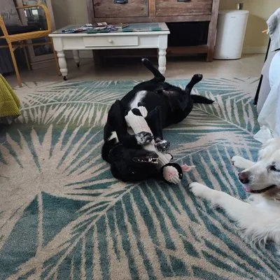 Julie & Wade Can Do It Concierge