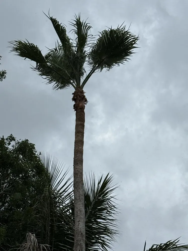 Reliable outdoor landscaping for outdoor upgrades in Boynton Beach, FL by Julio B