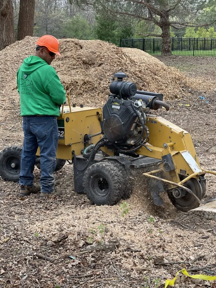 Professional yard cleanup service in Waukegan, IL by JULIO Castillo