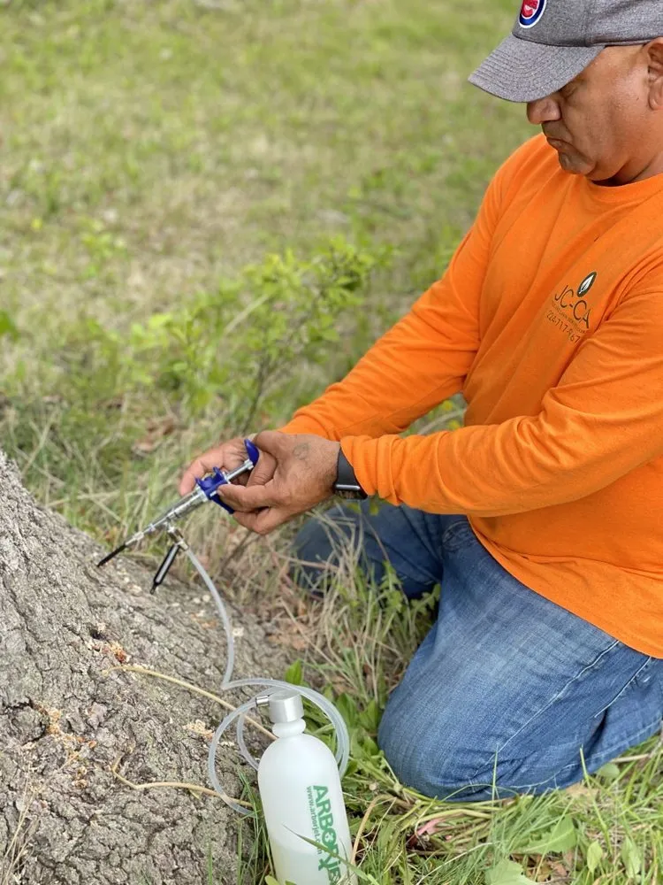 Trusted lawn care service in Waukegan, IL by JULIO Castillo