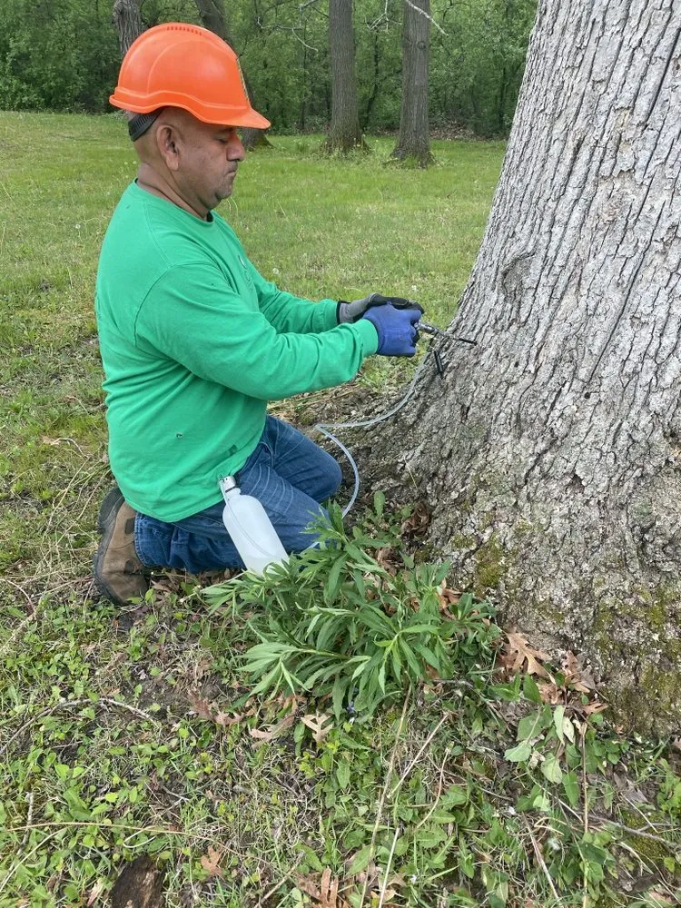 Trusted landscape design near you across Waukegan, IL - JULIO Castillo