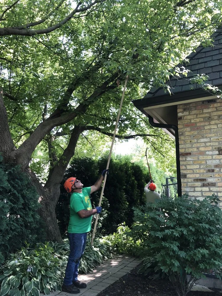 Top-rated yard cleanup service in Waukegan, IL by JULIO Castillo