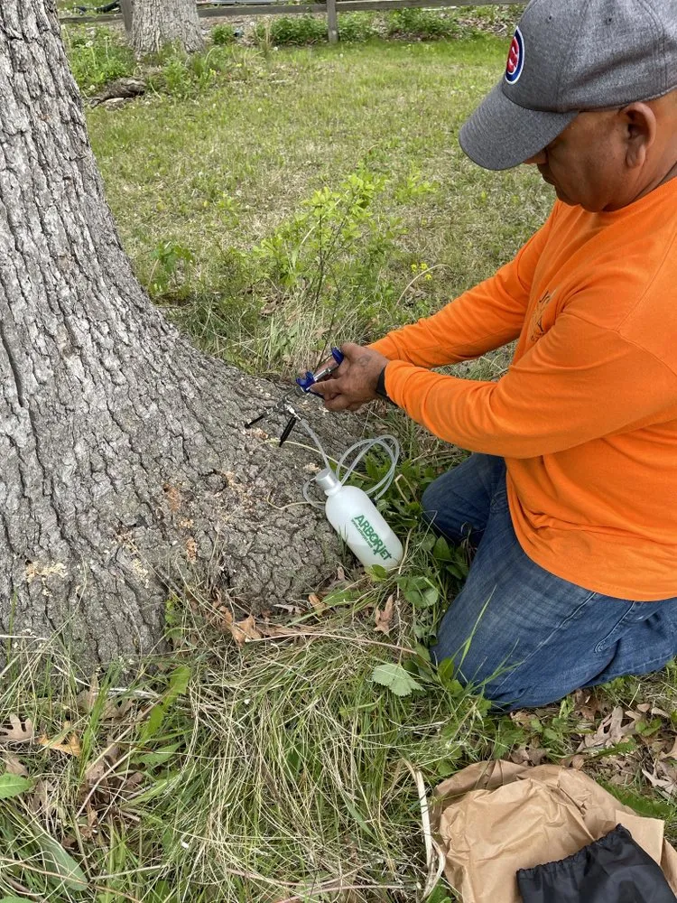Top-rated garden landscaping in Waukegan, IL by JULIO Castillo
