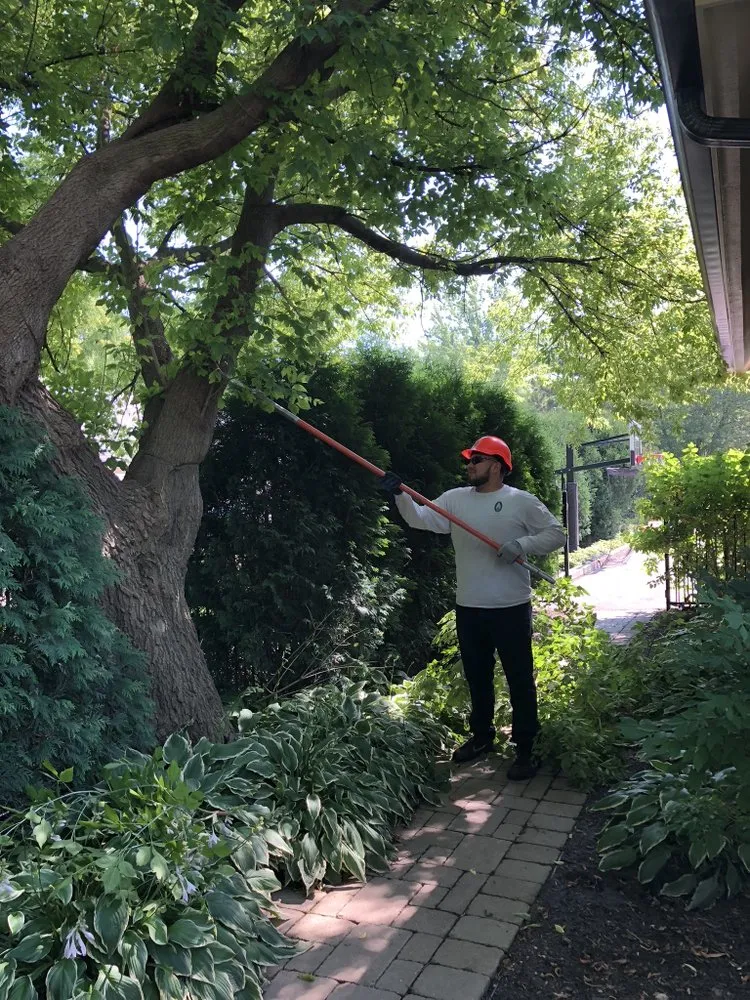 Trusted garden landscaping in Waukegan, IL - JULIO Castillo