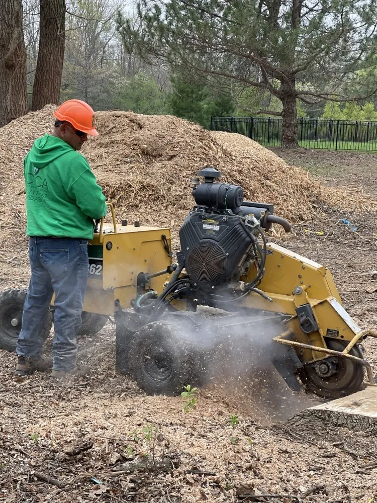 Affordable lawn care service with custom design across Waukegan, IL - JULIO Castillo