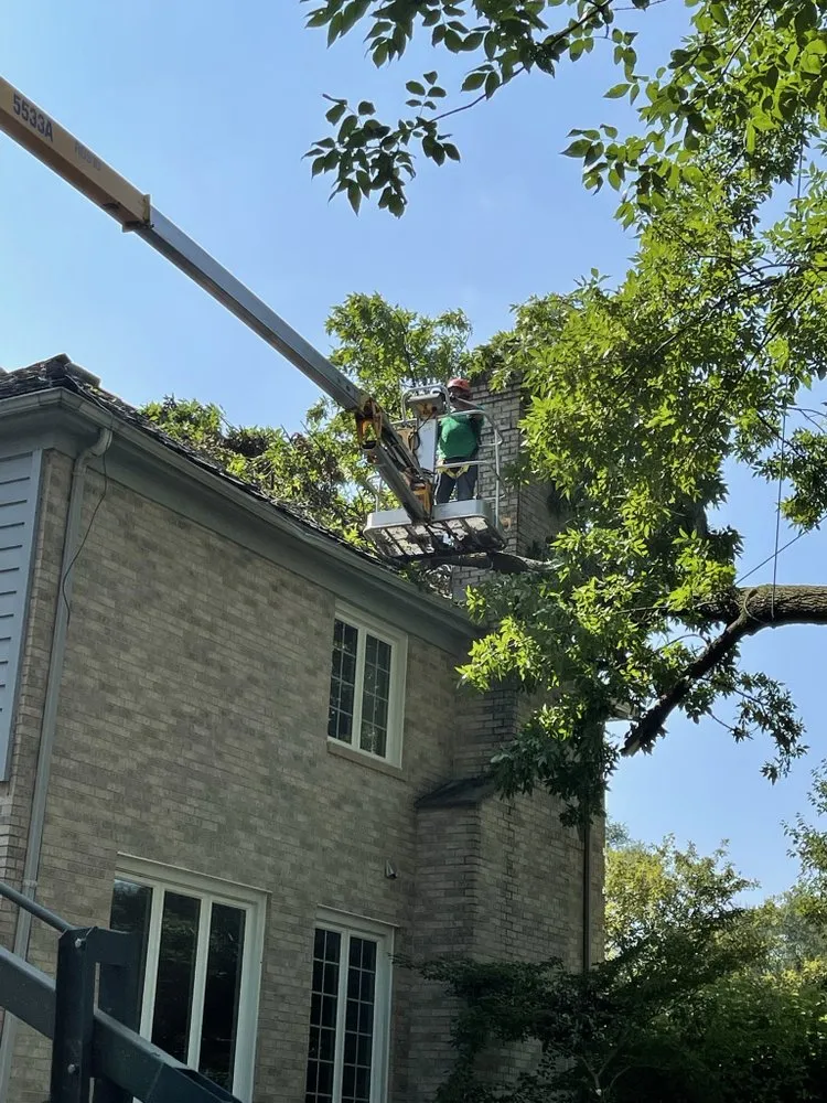 Professional yard maintenance for homes across Waukegan, IL - JULIO Castillo