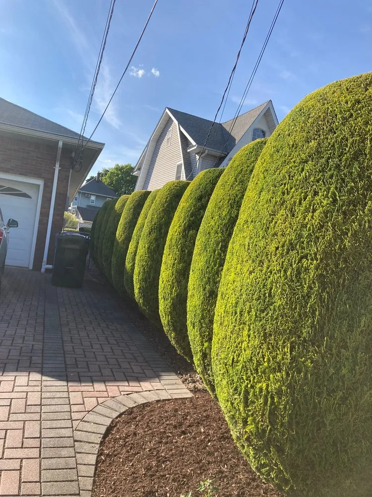 Custom outdoor landscaping experts serving Passaic, NJ - Julio Landscaping