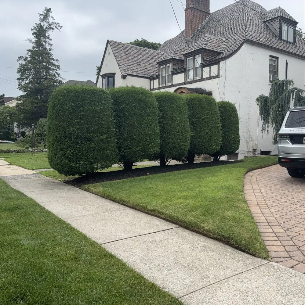 Expert yard cleanup service in Passaic, NJ - Julio Landscaping