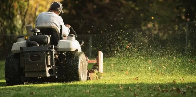 Reliable yard cleanup service for homes across Myrtle Beach, SC - Julio Lawn Love