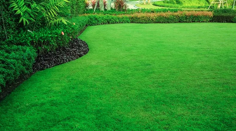 Local landscape design experts serving Myrtle Beach, SC - Julio Lawn Love