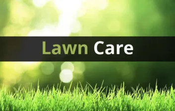 Trusted landscape installation for year-round maintenance across Myrtle Beach, SC - Julio Lawn Love