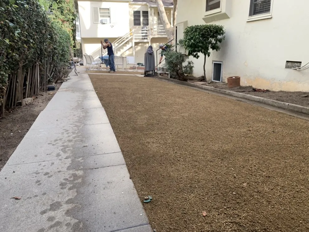 Professional yard maintenance in Los Angeles, CA - Julio Muñoz Landscaping