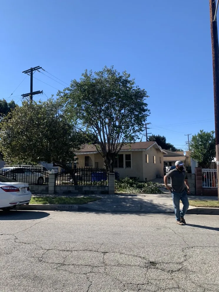 Expert yard cleanup service for outdoor upgrades across Los Angeles, CA - Julio Muñoz Landscaping