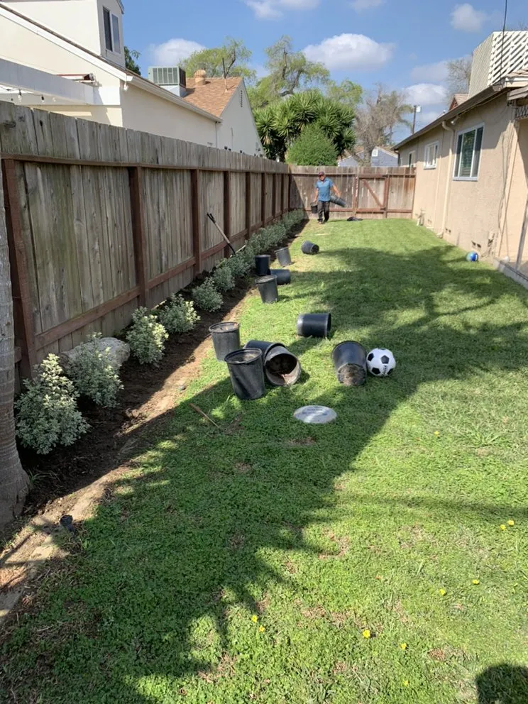 Professional yard maintenance in Los Angeles, CA by Julio Muñoz Landscaping
