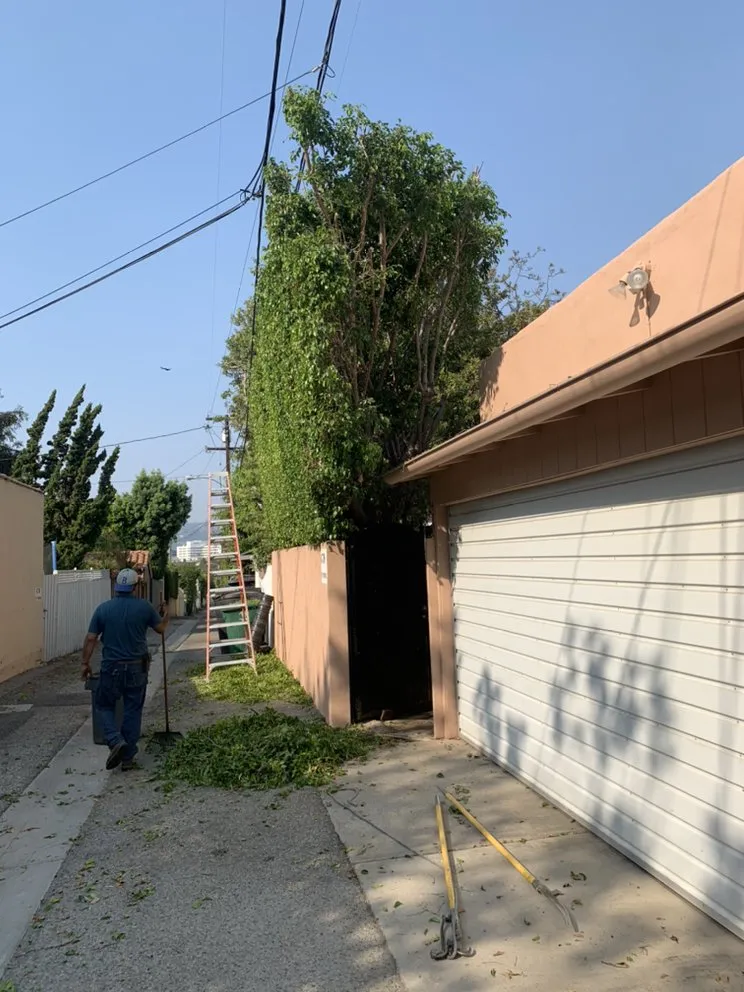 Affordable garden landscaping for outdoor upgrades in Los Angeles, CA by Julio Muñoz Landscaping