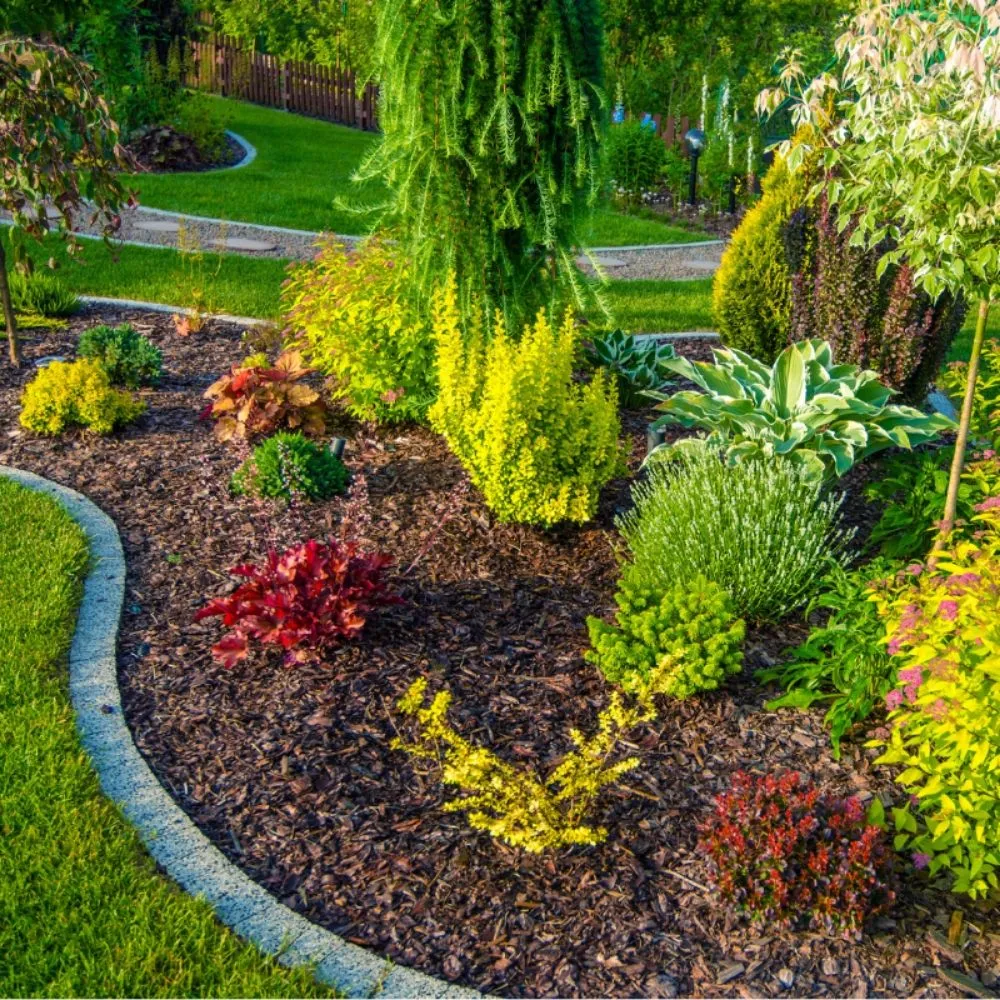 Affordable yard maintenance in Brea, CA by Julio Santiago's Landscape Service
