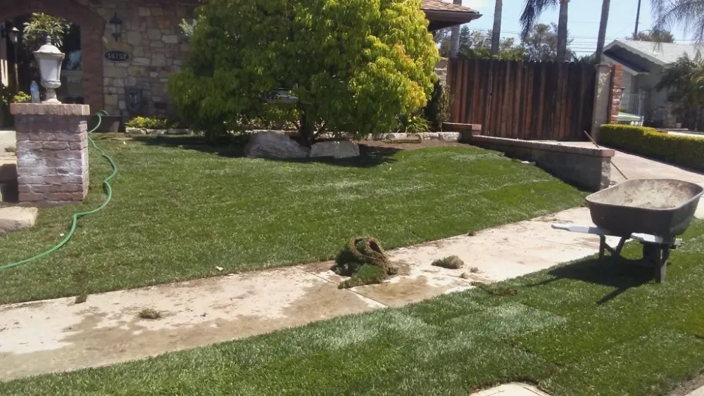 Custom landscape installation experts serving Brea, CA - Julio Santiago's Landscape Service