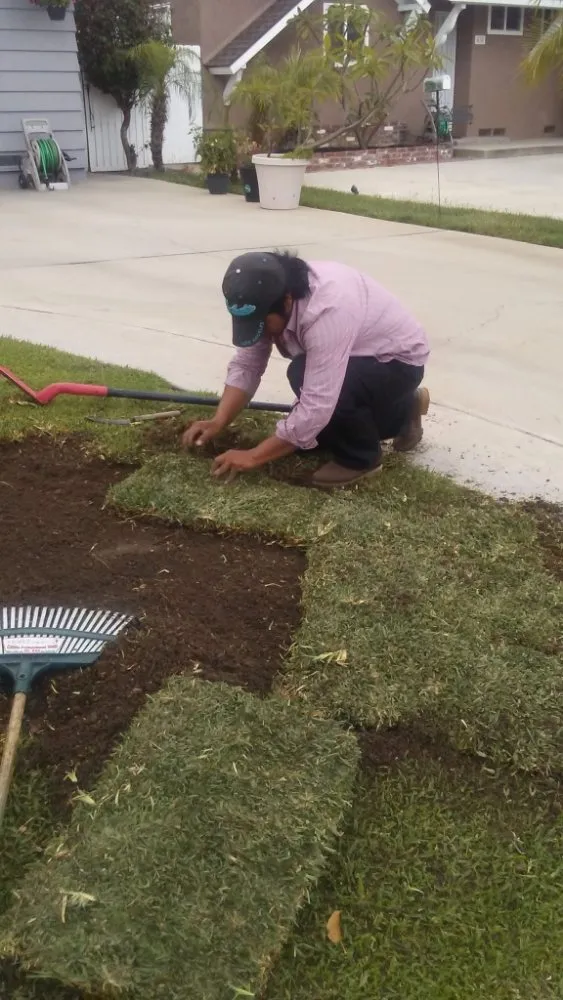 Trusted landscape installation in Brea, CA - Julio Santiago's Landscape Service