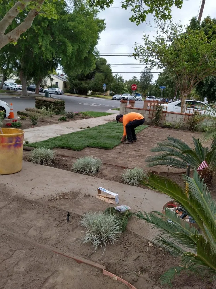 Custom outdoor landscaping in Brea, CA by Julio Santiago's Landscape Service