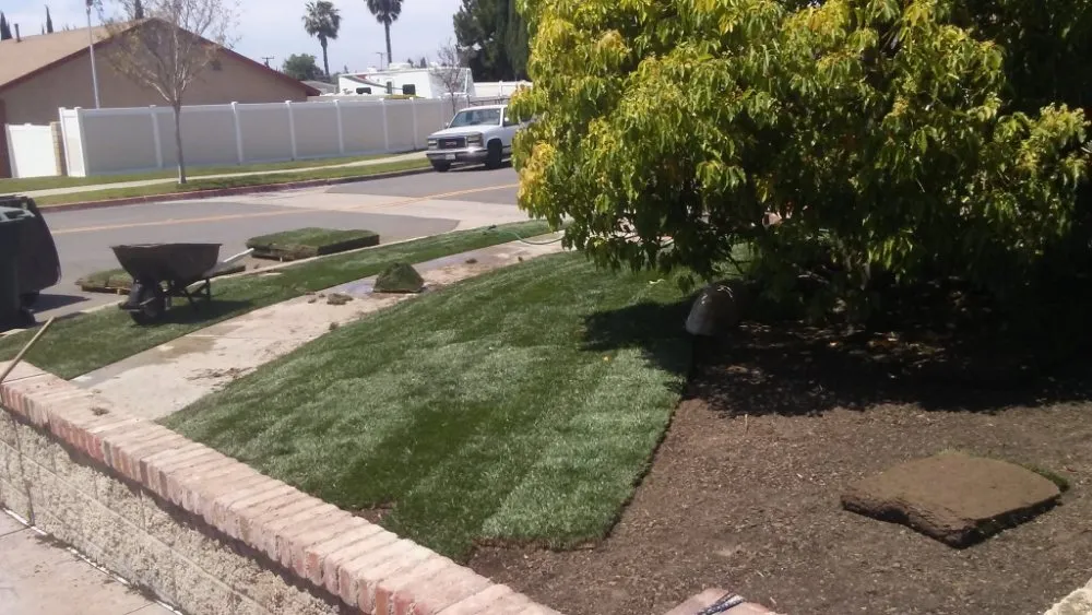 Expert landscaping services in Brea, CA - Julio Santiago's Landscape Service