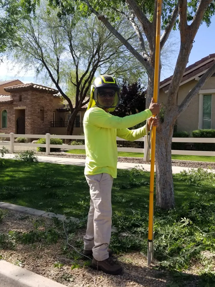 Affordable outdoor landscaping for beautiful yards in Mesa, AZ by Julio Tree care & landscaping services