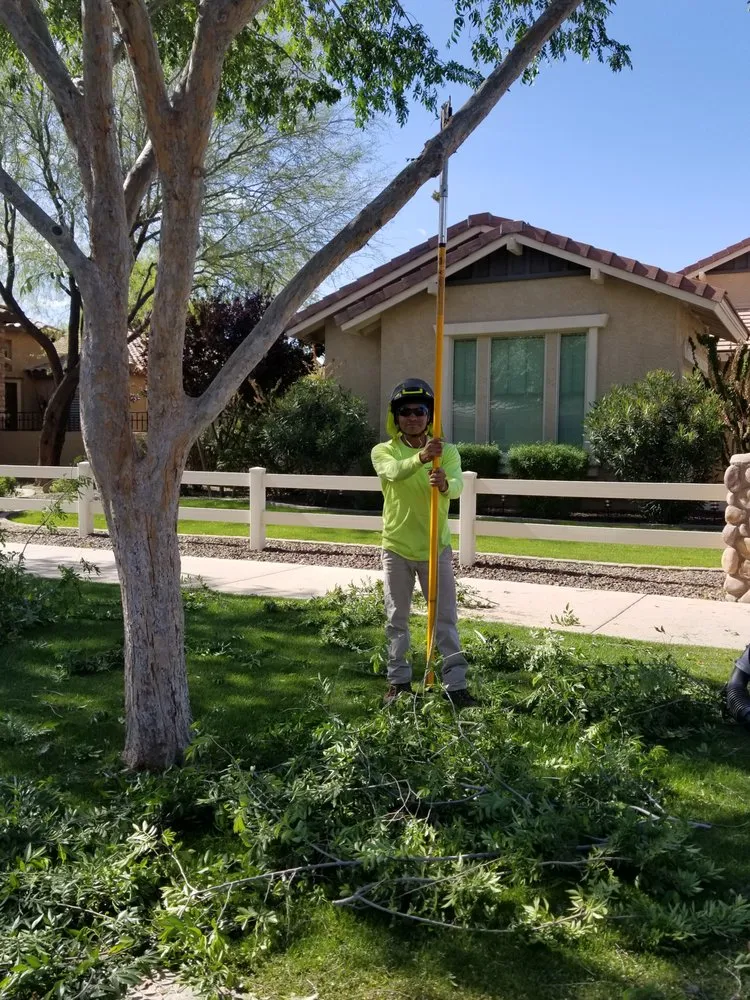 Affordable outdoor landscaping for homes in Mesa, AZ by Julio Tree care & landscaping services