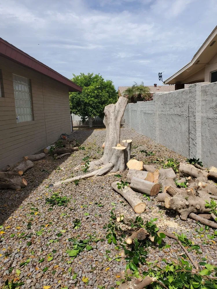 Expert outdoor landscaping experts serving Mesa, AZ - Julio Tree care & landscaping services