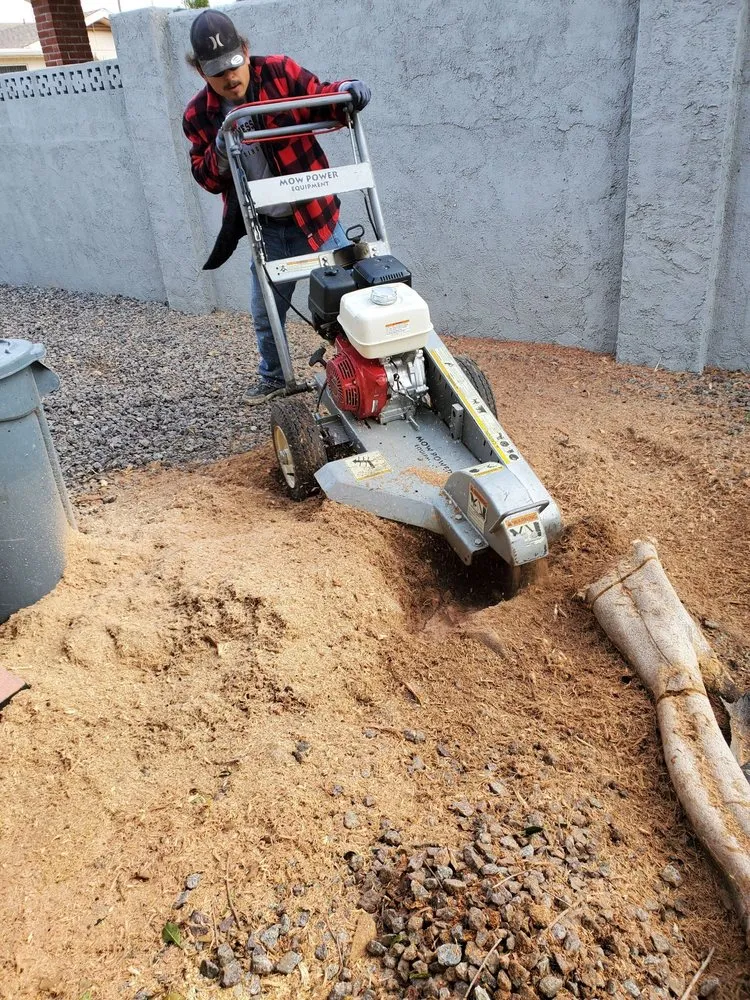 Custom yard maintenance in Mesa, AZ - Julio Tree care & landscaping services